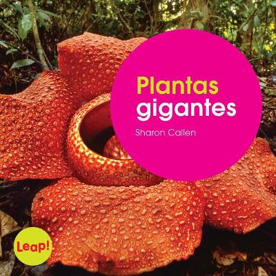 Book cover for Plantas Gigantes