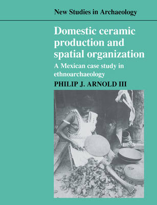 Book cover for Domestic Ceramic Production and Spatial Organization