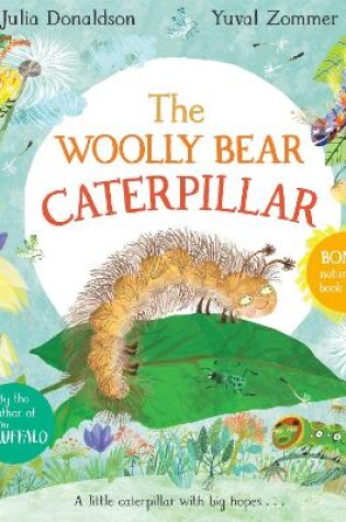 Cover of The Woolly Bear Caterpillar