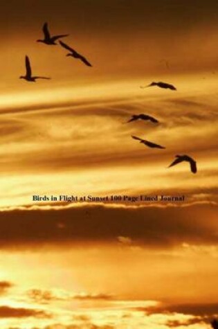 Cover of Birds in Flight at Sunset 100 Page Lined Journal