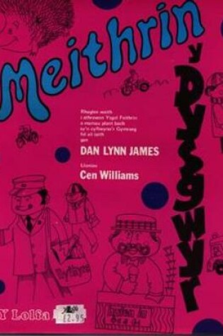 Cover of Meithrin y Dysgwyr