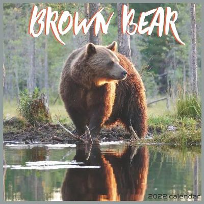 Book cover for Brown Bear 2022 Calendar