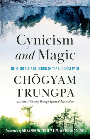 Book cover for Cynicism and Magic