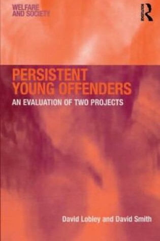 Cover of Persistent Young Offenders