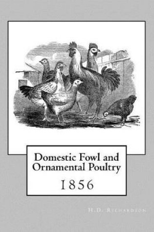 Cover of Domestic Fowl and Ornamental Poultry