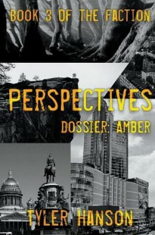 Cover of Perspectives