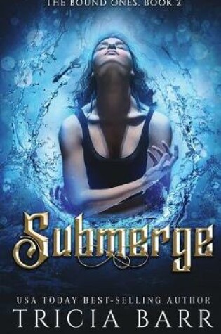Cover of Submerge