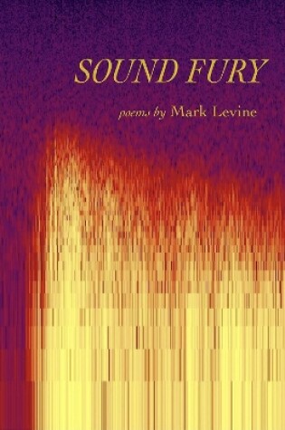 Cover of Sound Fury