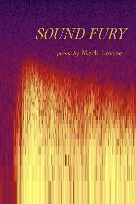 Book cover for Sound Fury