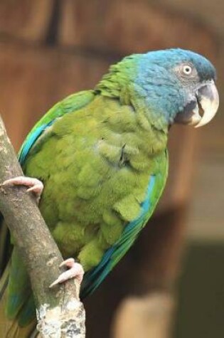 Cover of Blue-Headed Macaw Journal (Bird/Parrot)