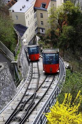 Book cover for Trams in The Schlossberg Graz Austria