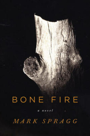 Cover of Bone Fire
