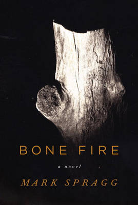 Book cover for Bone Fire