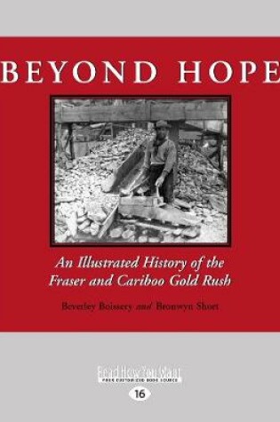 Cover of Beyond Hope