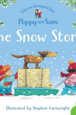 Cover of The Snow Storm