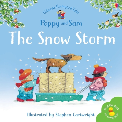 Book cover for The Snow Storm