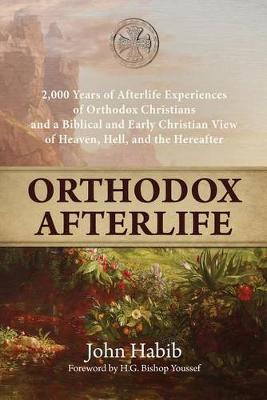 Book cover for Orthodox Afterlife