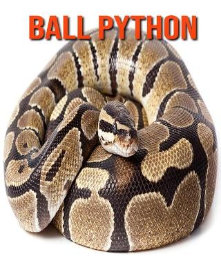 Book cover for Ball Python