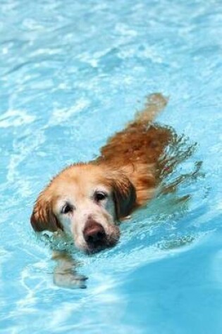 Cover of Golden Retriever Dog Paddle in the Swimming Pool Journal