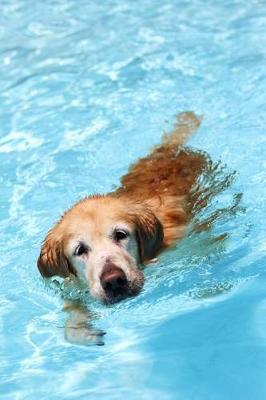 Book cover for Golden Retriever Dog Paddle in the Swimming Pool Journal