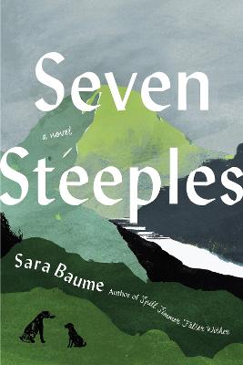 Book cover for Seven Steeples