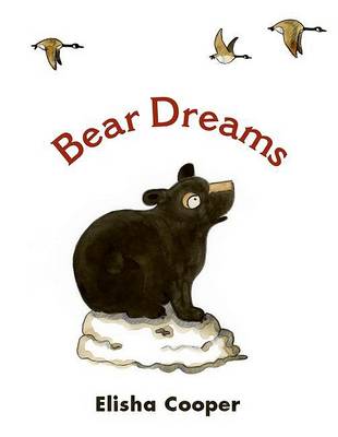 Book cover for Bear Dreams