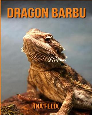 Book cover for Dragon Barbu