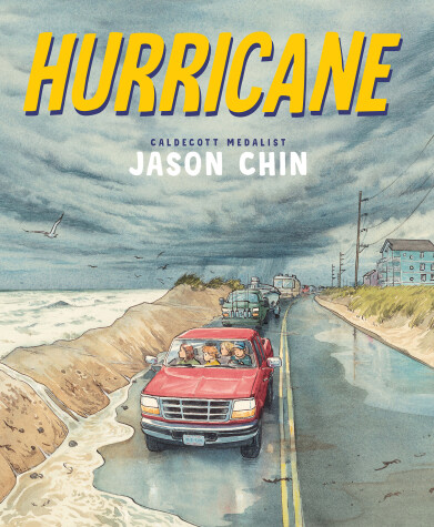 Book cover for Hurricane