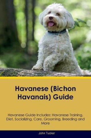 Cover of Havanese (Bichon Havanais) Guide Havanese Guide Includes