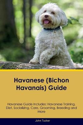 Book cover for Havanese (Bichon Havanais) Guide Havanese Guide Includes