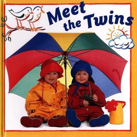 Book cover for Meet the Twins Board Book