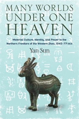 Book cover for Many Worlds Under One Heaven