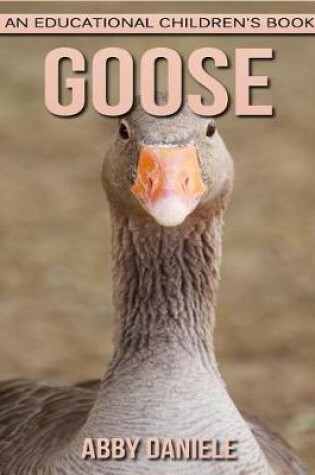 Cover of Goose! An Educational Children's Book about Goose with Fun Facts & Photos