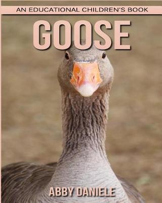 Book cover for Goose! An Educational Children's Book about Goose with Fun Facts & Photos