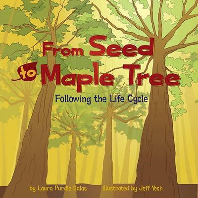 Cover of From Seed to Maple Tree