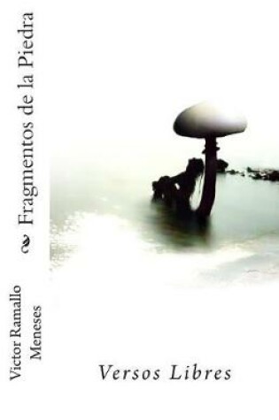 Cover of Fragmentos de la Piedra