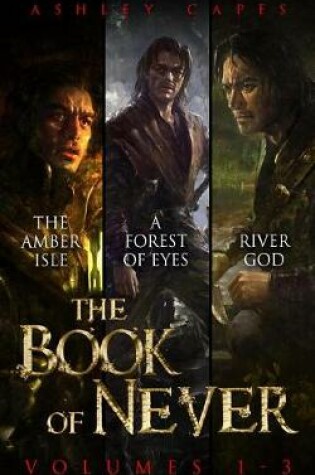 Cover of The Book of Never