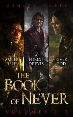 Book cover for The Book of Never