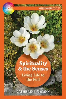 Book cover for Spirituality and the Senses