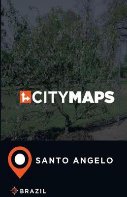 Book cover for City Maps Santo Angelo Brazil