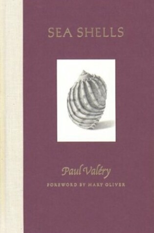 Cover of Sea Shells