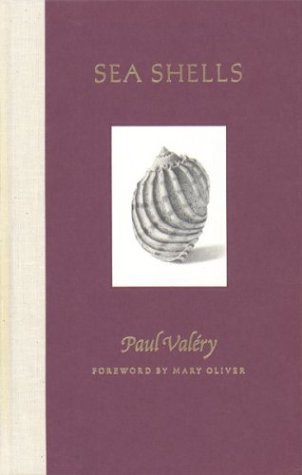 Book cover for Sea Shells