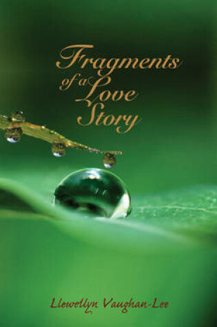 Cover of Fragments of a Love Story