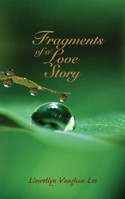 Book cover for Fragments of a Love Story