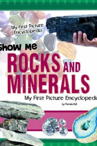 Cover of My First Picture Encyclopedias Show Me Rocks and Minerals My First Picture Encyclopedia