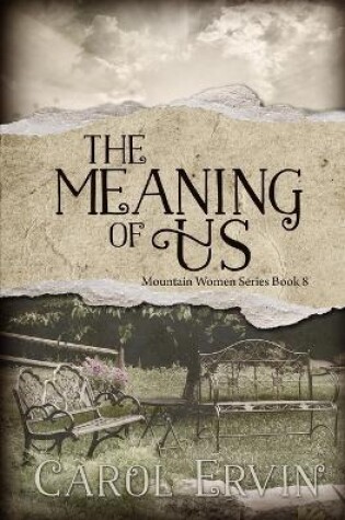 Cover of The Meaning of Us