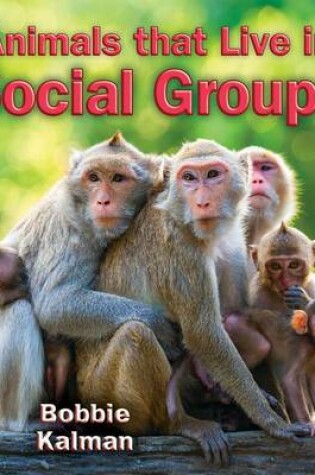 Cover of Animals That Live in Social Groups