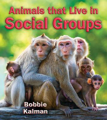 Book cover for Animals That Live in Social Groups