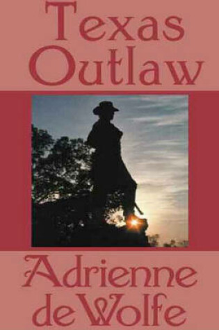 Cover of Texas Outlaw