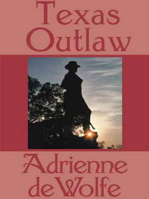 Book cover for Texas Outlaw